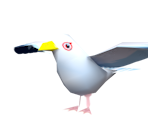 Seagull