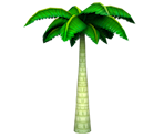 Palm Tree