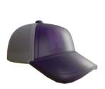 Mesh Cap