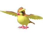 #016 Pidgey