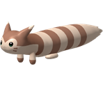 #162 Furret