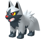 #261 Poochyena