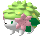 #492 Shaymin