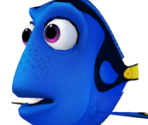 Dory