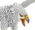 Griffin