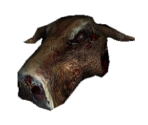 Diseased Cow Head