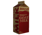 Milk Carton