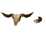 Cattle Bones