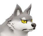 Taro (Wolf)