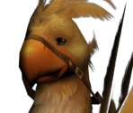 Chocobos