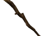 Small Meaningless Stick