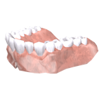 Behemoth Jaw