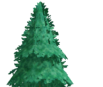 Pine Tree