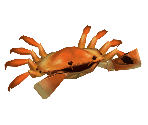 Crab (Low-Poly)