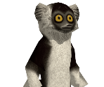 Lemur