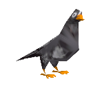 Pigeon (Low-Poly)