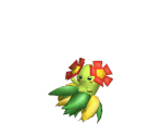 Bellossom