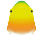 Yellow Wollywog