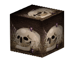 Skull Cube