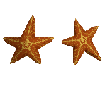 Starfish