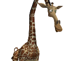 Melman