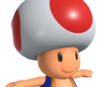 Toad