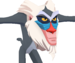 Rafiki