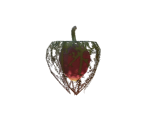 Fire Fruit