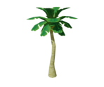 Palm Tree