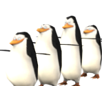 Penguins