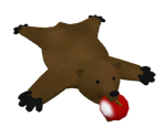 Bear Rug