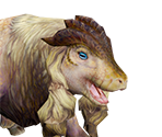 Gowngoat