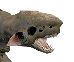 Jyuratodus