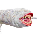 Khezu