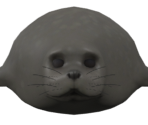 Seal (Silvia)