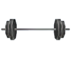 Barbell