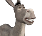 Donkey