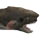 Jyuratodus