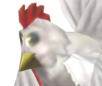 Cucco (Ocarina of Time)