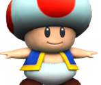 Toad