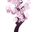 Thin Sakura Tree