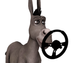 Donkey