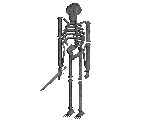 Skeleton