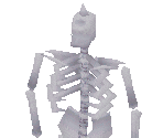 The Skeleton of the Giant