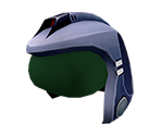 Pilot's Helmet