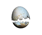 Cracked Egg of Pwnage