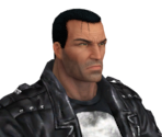 The Punisher