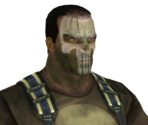 The Punisher (Grand Nixon Island)