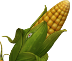 Cob Cannon