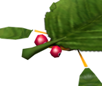 Skitter Leaf